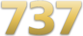 737 logo